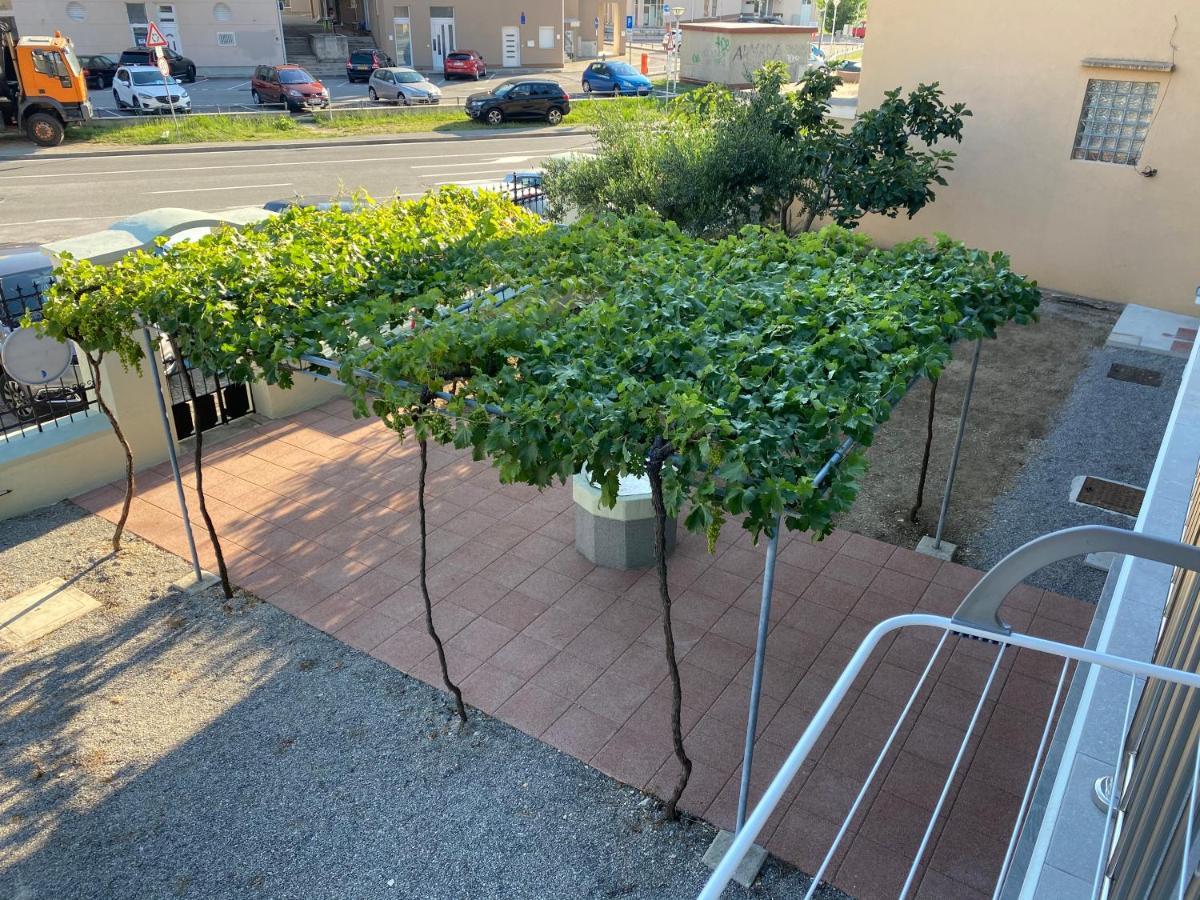 Green House Apartments Novi Vinodolski Εξωτερικό φωτογραφία