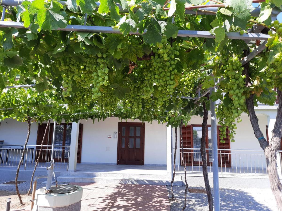Green House Apartments Novi Vinodolski Εξωτερικό φωτογραφία